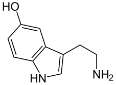 de: Struktur von Serotonin (5-Hydroxytryptamin...