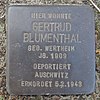 Stolperstein Bad Bentheim Heinrich-Kloppers-Straße 11 Gertrud Blumenthal