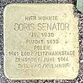 Stolperstein Birkenfeld Achtstraße 9 Doris Senator