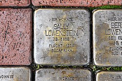 Stolperstein für Sally Löwenstein