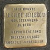 Stolperstein für Elfriede Heilbronn