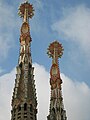 Antoni Gaudi: Križni cvjetovi[6] Sagrada familija, Barcelona