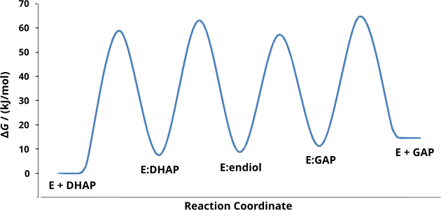 (en) Variations d'enthalpie libre ΔG au cours de la conversion de la dihydroxyacétone phosphate (DHAP) en glycéraldéhyde-3-phosphate (GAP) par la triose-phosphate isomérase (E).