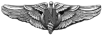 USAAF Flight Nurse Wings.png