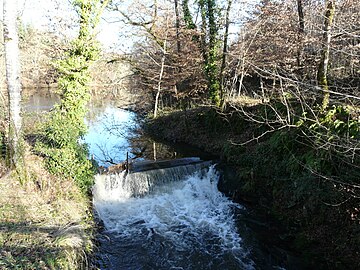 La Valouse en amont de la forge de Mavaleix, entre Chalais (à gauche) et Saint-Paul-la-Roche.