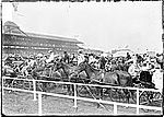 Washington Park Race Track in 1903