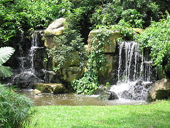 The Wetlands Waterfalls, Jurong Bird Park