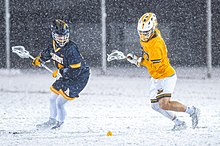 A men's college lacrosse match between the Allegheny Gators and Baldwin Wallace Yellow Jackets in 2020 Allegheny vs. Baldwin Wallace Lacrosse - 49599713087.jpg