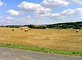 Harvested fields near Bratronice