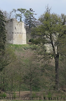 Image illustrative de l’article Château fort de Colmont