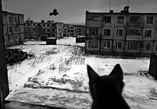 Military town of Gornoe, Iturup Island, Kuril Islands. This picture from Oleg Klimov book «Calamity Islands», (Sakhalin and Kuriles), 2023. Photo by Oleg Klimov/Liberty.SU