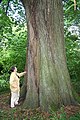 2007年12月12日 (水) 00:22時点における版のサムネイル