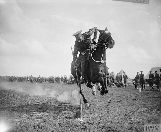 horse charging