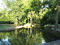 Etang dans le parc