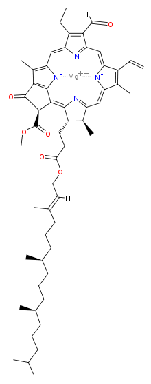 Структура β-хлорофилла