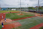 Miniatura para Copa del Rey de béisbol