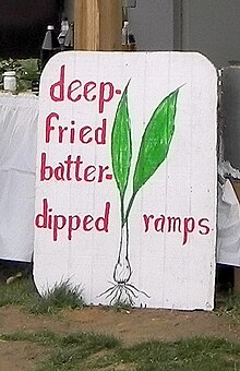фотография знака для жареных рамп и фестиваля Mason Dixon Ramp в Mt. Моррис, Пенсильвания
