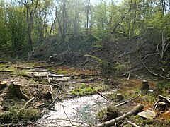 Zone marécageuse avec de l'eau orangée.