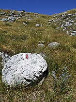 Biały i czerwony pasek – oznaczenie szlaku w Macedonii