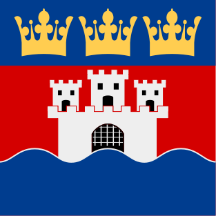 Berkas:Jönköpings län vapenflagga.svg