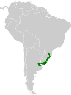 Distribución geográfica de la pajonalera piquirreta.