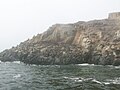 Sea lions at Palomino Islands