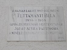 Béla Tettamanti (pedagogo)