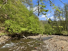 Schotterinsel im Eschbach