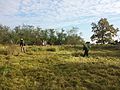 Pflegeeinsatz mit freiwilligen Helfern zur Erhaltung der Trockenrasen