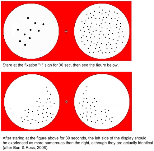 An example of the numerosity adaptation effect Numerosityadaptation.png