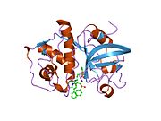 2g6d: Human cathepsin S mutant with vinyl sulfone inhibitor CRA-14009