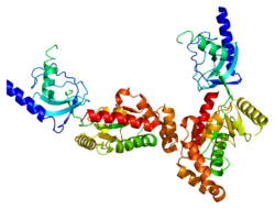 Протеин CACNB4 PDB 1vyv.png