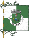 Bandeira de Vila Boim