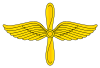 RAF AF branch insignia.svg