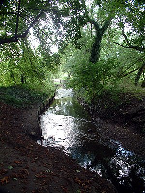 Ravensbourne River BR2 - geograph.org.uk - 43852.jpg