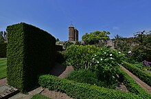 View of a garden, with a tall green square-edged hedge at the left, a flower bed with white flowers, edged by a closely clipped low hedge, in the foreground, and brick towers in the background