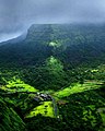 Sahyadri:One of the most Biodiverse regions in the world.[42]
