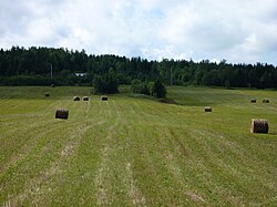 Rural countryside in Saint-Alexandre-des-Lacs