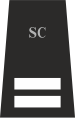 StaffsInsp.svg