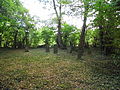 Jüdischer Friedhof