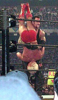 Undertaker aplicando la Tombstone Piledriver a Ric Flair en WrestleMania X8.