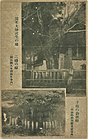 昭和初期の絵葉書。下の写真が菩提寺のイチョウ。上の写真は誕生寺 (岡山県久米南町)の二幡（ふたはた）の椋。