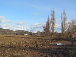 Pohled na samotu Lužerady z jihozápadu cestou od Loun; typická krajina Lužerad