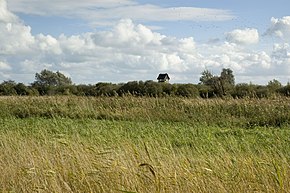 Wicken Fen, England. Grasses in the foreground are typical of a fen. Wicken-Fen-Hide.jpg