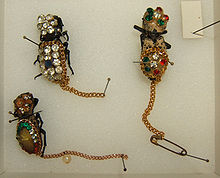 Zopheridae in jewellery at the Texas A&M University Insect Collection Zopheridae jewelry sjh.jpg