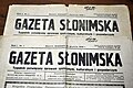 Драбніца версіі з 09:57, 21 студзеня 2013