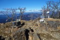 2022年1月4日 (火) 11:41時点における版のサムネイル