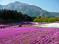 2016年11月9日 (水) 05:57時点における版のサムネイル