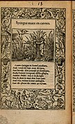 Pan et Syrinx, Bernard Salomon, 1564, Académie de Lyon.