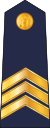 4.LVAF-SGT.svg